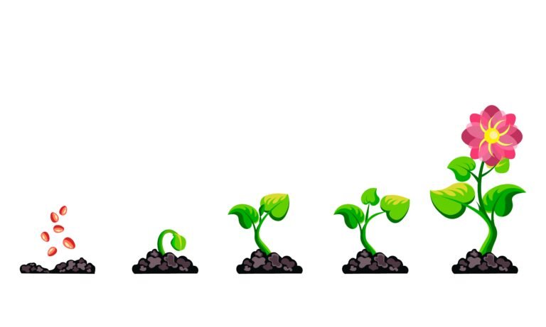 Growth Micronutrient Fertilizer