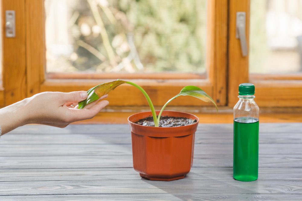 Water Soluble Fertilizer