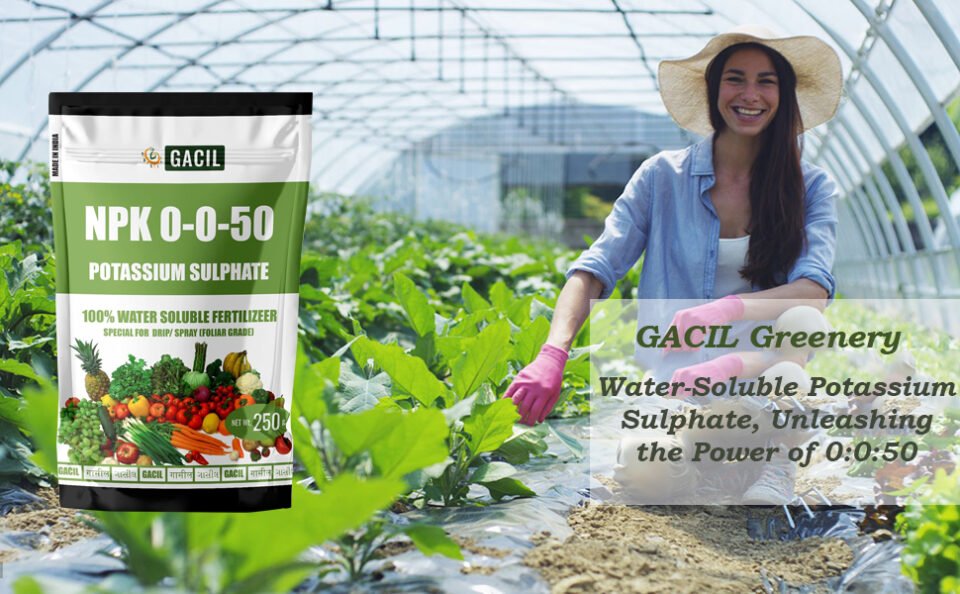 Potassium Sulphate Fertilizer