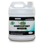Seaweed Liquid Fertilizer